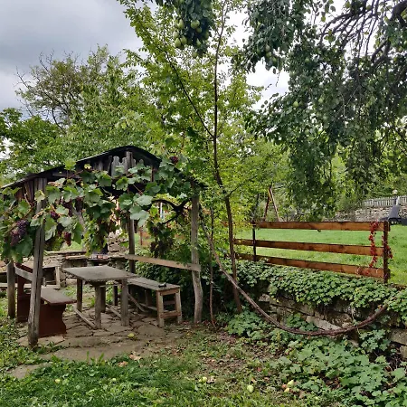 старата къща - Tryavna