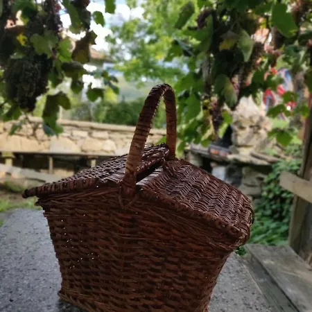 Villa старата къща - *