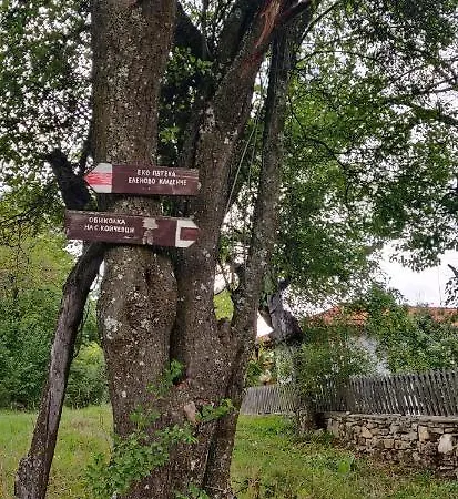 Villa старата къща - *