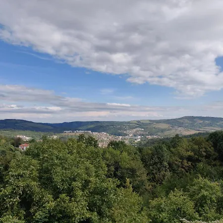 старата къща - Tryavna