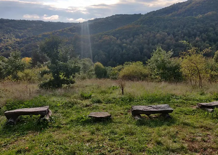 старата къща - Vila