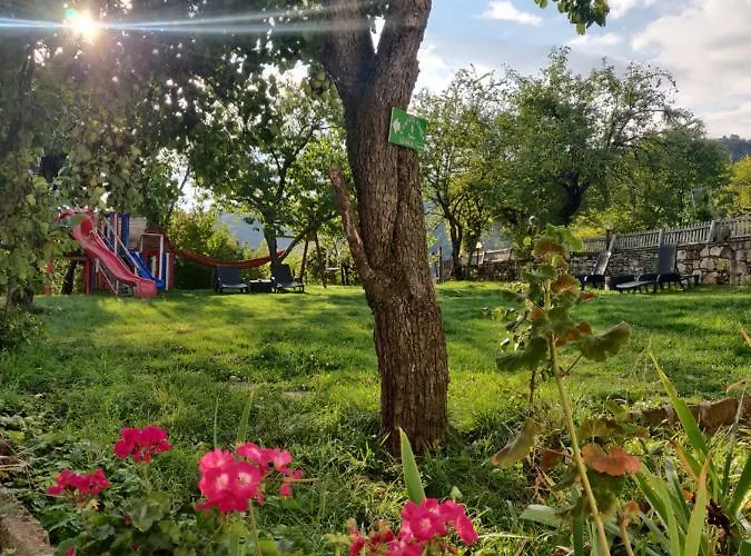 старата къща - Willa Triawna