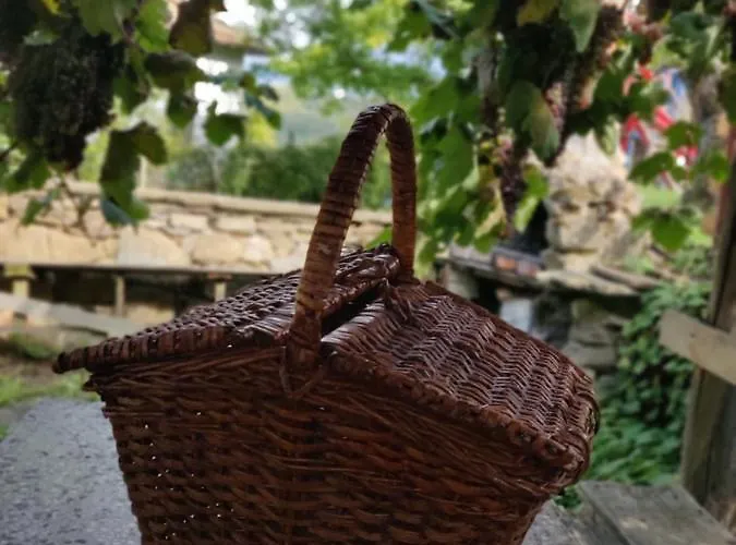 Vila старата къща - *