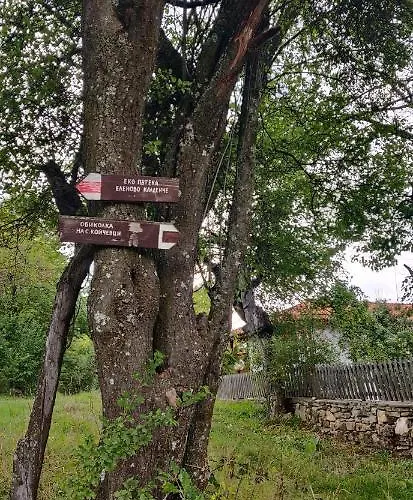 Vila старата къща - *