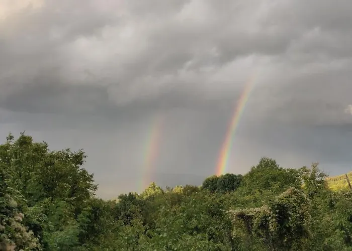 старата къща - Willa *