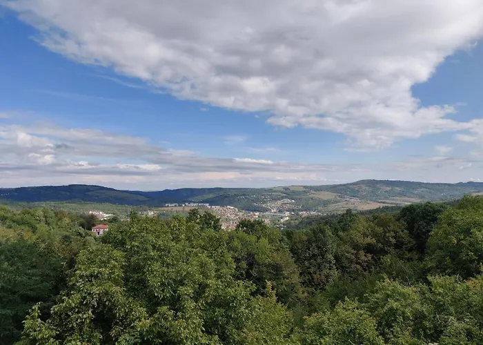 старата къща - Triawna