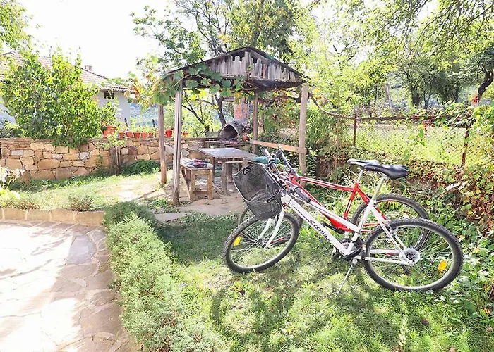 старата къща - Vila *